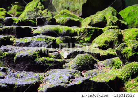 Image of moss-covered stone steps 136018528