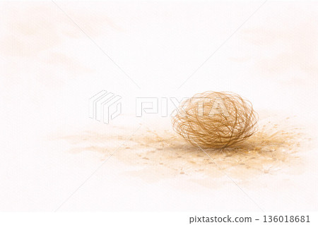 枯草系列：一簇簇枯草漂浮在光線中 136018681