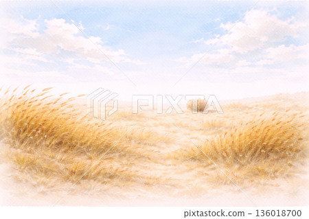 乾草系列：晴朗的天空和一片乾草荒地 136018700