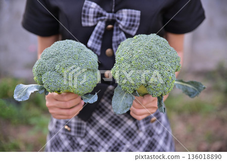 girl hold fresh broccoli for making healthy food girl hold fresh broccoli for making healthy food 136018890