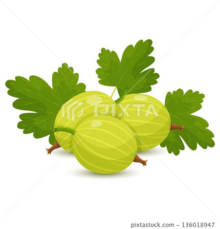 green and green leaves of green plant green and green leaves of green plant 136018947