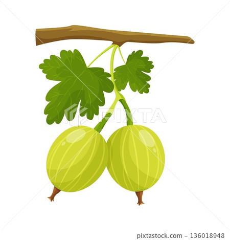 eggplant with seeds eggplant with seeds 136018948