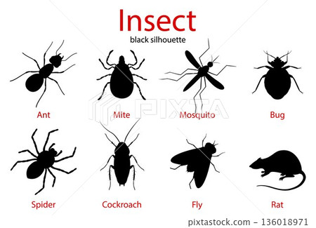 Pest Control insect black silhouette set, insect icons isolated on white, flat style Pest Control insect black silhouette set, insect icons isolated on white, flat style 136018971