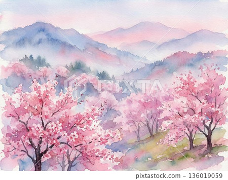 霧中綻放的花海 霧中綻放的花海 136019059