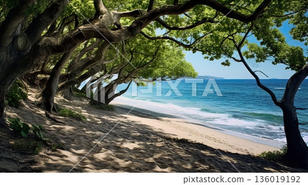 tree on the beach 136019192
