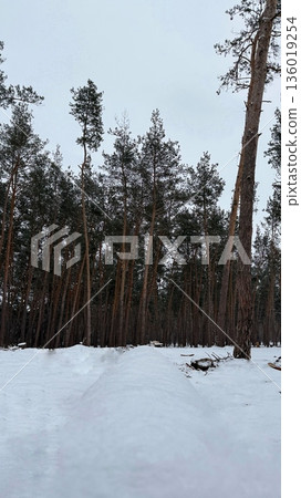 Natural Landscape 136019254