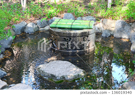 View of Chinzanso 136019340