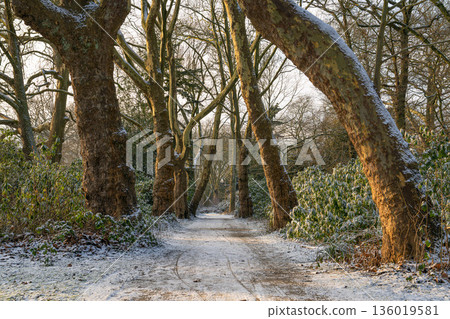 Castle park of Herten, North Rhine Westphalia, Germany 136019581