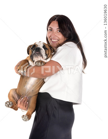 english bulldog and woman in studio english bulldog and woman in studio 136019630
