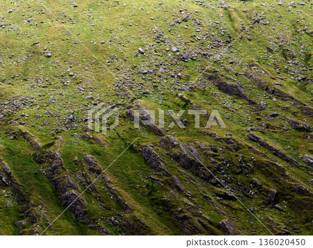 A rugged mountain slope is densely covered with vibrant green grass and numerous grey rocks. Bathed in daylight, this natural landscape appears steep and textured, showcasing an untamed environment. A rugged mountain slope is densely covered with vibrant green grass and numerous grey rocks. Bathed in daylight, this natural landscape appears steep and textured, showcasing an untamed environment. 136020450