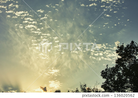 Soft golden sunset clouds over August 2025, with a lone bird gliding across the sky in a peaceful minimalistic scene. Soft golden sunset clouds over August 2025, with a lone bird gliding across the sky in a peaceful minimalistic scene. 136020562