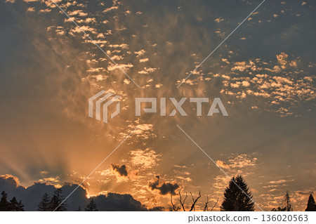 Soft golden sunset clouds over August 2025, with a lone bird gliding across the sky in a peaceful minimalistic scene. Soft golden sunset clouds over August 2025, with a lone bird gliding across the sky in a peaceful minimalistic scene. 136020563