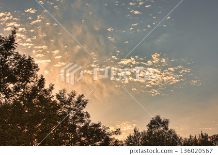 Soft golden sunset clouds over   August 2025, with a lone bird gliding across the sky in a peaceful minimalistic scene. 136020567