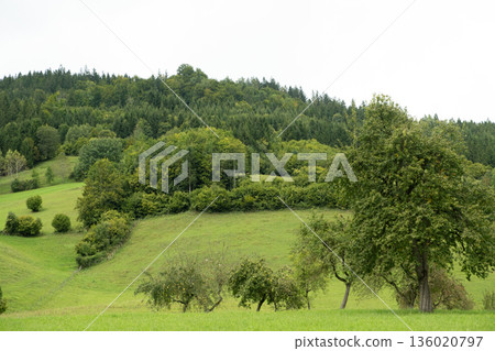 Idyllic Rural Scene, Meadow Grass and Distant Hills Idyllic Rural Scene, Meadow Grass and Distant Hills 136020797