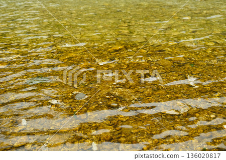River Water Flow with Sunlight Reflections on the Surface River Water Flow with Sunlight Reflections on the Surface 136020817