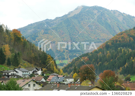Alpine Village Landscape with Vibrant Fall Colors Alpine Village Landscape with Vibrant Fall Colors 136020829