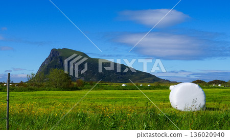 Bale of hay wrapped in plastic foil, Norway Bale of hay wrapped in plastic foil, Norway 136020940