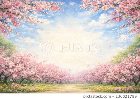 春日藍天下盛開的櫻花。油畫。 136021789