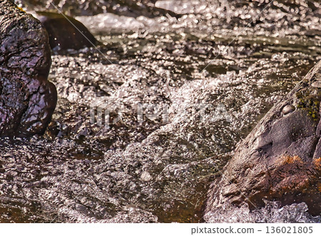 Wild River Water 136021805