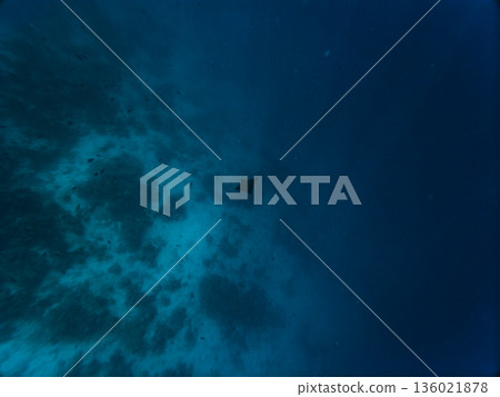 Fish in The MIddle Of The Blue Of The Ocean Deep Floor 136021878