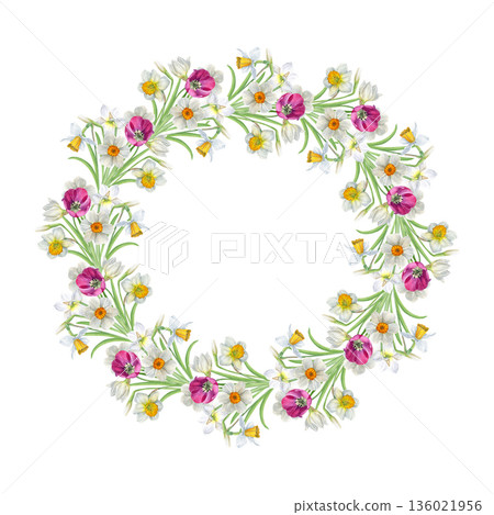 Watercolor floral wreath of white daffodils and pink tulips on a white background, hand-painted botanical style, perfect for invitations, greeting cards, spring decor and wedding design 136021956