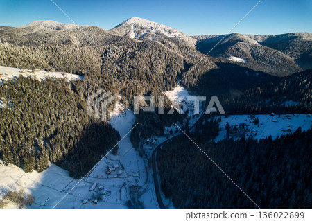 Aerial view of breathtaking winter landscape with snow-covered fields and dense pine forests. Small village nestled among trees, while distant mountains stand majestically under clear blue sky. 136022899