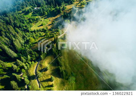 Aerial view of winding path cutting through lush green landscape, partially shrouded in layer of mist. Sunlight creates distinct shadows, enhancing depth and texture of dense forest and open fields. Aerial view of winding path cutting through lush green landscape, partially shrouded in layer of mist. Sunlight creates distinct shadows, enhancing depth and texture of dense forest and open fields. 136022921