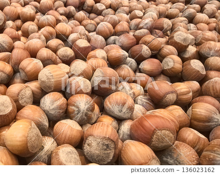 Harvesting hazelnuts in a sunny orchard under blue skies 136023162