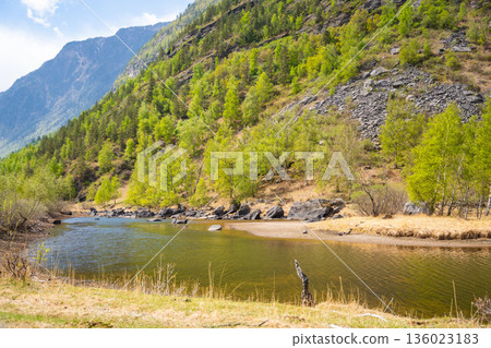 Chulyshman river flowing near Kyrsai bay at southern end of Teletskoye lake in Altai Russia Mountain watercourse in remote natural valley 136023183