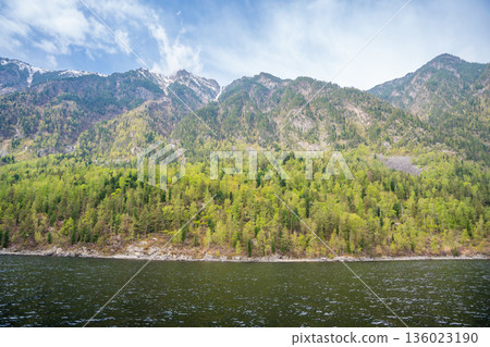 Close view of Teletskoye lake shore with fir trees, blooming rhododendron and rocky cliffs. Wild natural landscape in Altai Russia seen from the water Close view of Teletskoye lake shore with fir trees, blooming rhododendron and rocky cliffs. Wild natural landscape in Altai Russia seen from the water 136023190