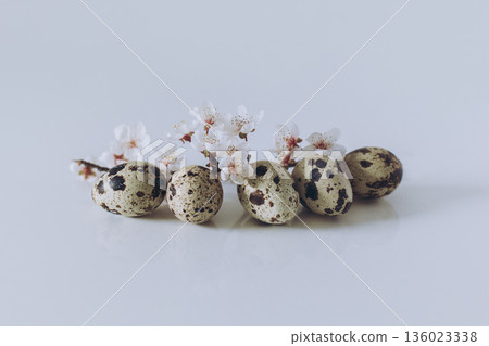 Beautiful branch with white blossom and eggs on a white background. Minimal concept. 136023338