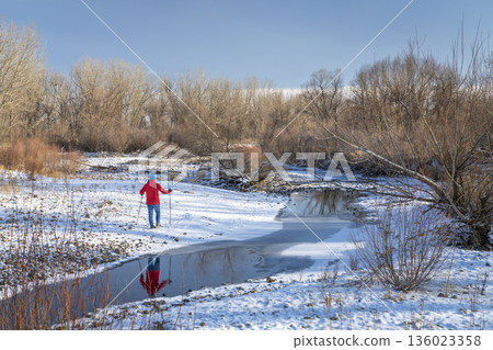 senior man is Nordic walking on through a riparian forest along the Poudre River in Colorado, cold winter scenery senior man is Nordic walking on through a riparian forest along the Poudre River in Colorado, cold winter scenery 136023358