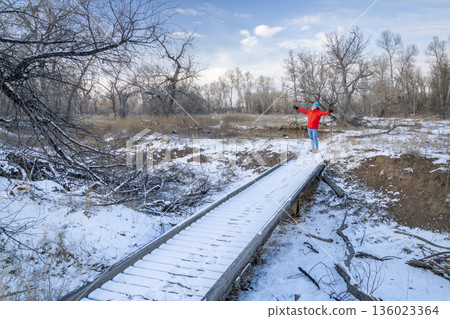 senior man is Nordic walking on a trail through a riparian forest along the Poudre River in Colorado, cold winter scenery senior man is Nordic walking on a trail through a riparian forest along the Poudre River in Colorado, cold winter scenery 136023364