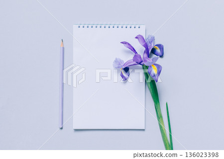 Notebook with blank page, pencil and purple Iris flower on light purple background. Notebook with blank page, pencil and purple Iris flower on light purple background. 136023398