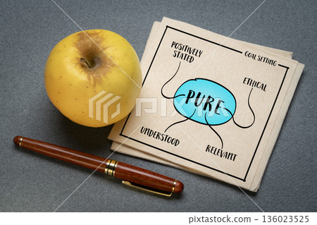 PURE - positively stated, understood, relevant, ethical -  goal setting concept and framework 136023525