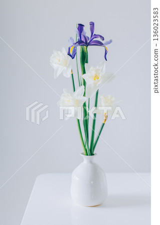 Bouquet of tender Daffodil (narcissus) and Iris flowers in a vase on a white table. Bouquet of tender Daffodil (narcissus) and Iris flowers in a vase on a white table. 136023583