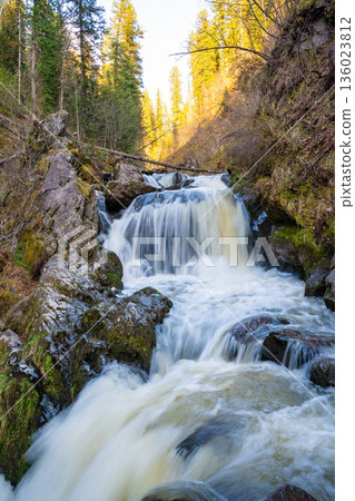 Tretya Rechka or The third river waterfall near Artybash town. Majestic cascade in pristine Altai nature Russia Tretya Rechka or The third river waterfall near Artybash town. Majestic cascade in pristine Altai nature Russia 136023812