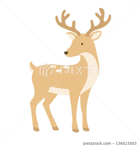 Cute fawn reindeer animal illustration for christmas Cute fawn reindeer animal illustration for christmas 136023883