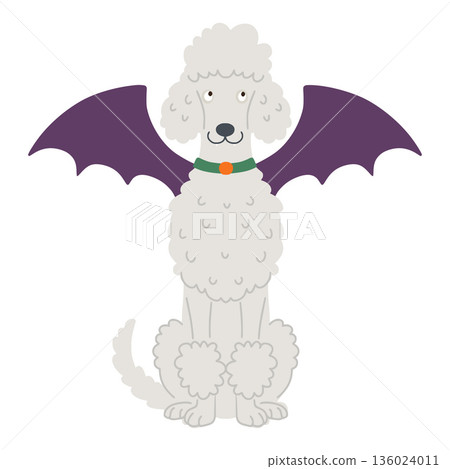 White poodle wearing bat wings for halloween costume party White poodle wearing bat wings for halloween costume party 136024011