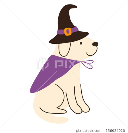 Cute dog wearing witch costume for halloween party 136024020