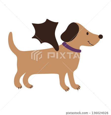 Happy dachshund dog wearing bat wings for halloween costume party 136024026