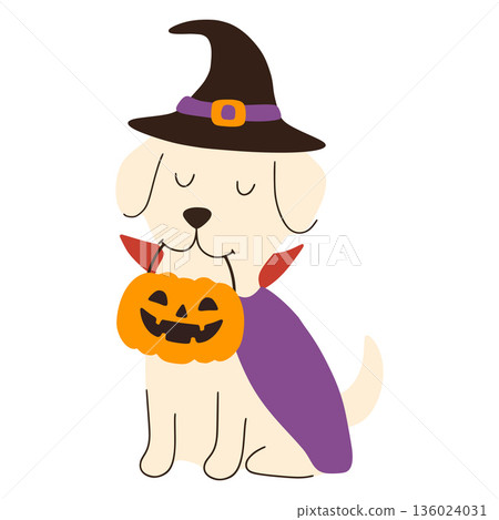 Cute golden retriever puppy wearing halloween witch costume holding pumpkin basket Cute golden retriever puppy wearing halloween witch costume holding pumpkin basket 136024031
