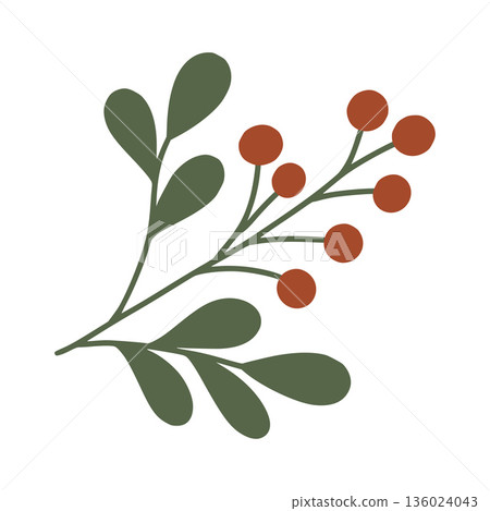 Nordic christmas berry branch illustration on white background Nordic christmas berry branch illustration on white background 136024043