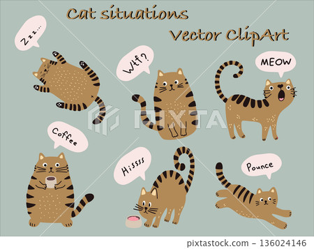 Adorable tabby cat performing different activities, sleeping, drinking coffee, meowing, and pouncing 136024146