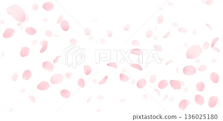 Background material of cherry blossoms with falling petals Background material of cherry blossoms with falling petals 136025180