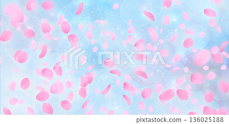 Background material of cherry blossoms with falling petals 136025188