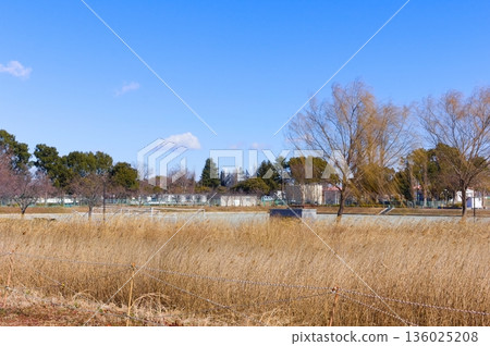Around Shirakobato Sports Park, Koshigaya City, Saitama Prefecture January 2026 Around Shirakobato Sports Park, Koshigaya City, Saitama Prefecture January 2026 136025208