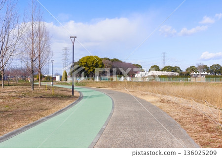 Around Shirakobato Sports Park, Koshigaya City, Saitama Prefecture January 2026 136025209