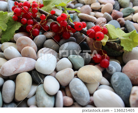 Branch Of Ripe Red Currant Berries And Green Leaves On A Smooth Rocks Detailed Stock Photo Branch Of Ripe Red Currant Berries And Green Leaves On A Smooth Rocks Detailed Stock Photo 136025405