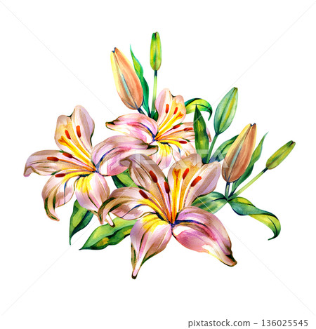 A vibrant watercolor illustration of blooming pink lilies with green buds and leaves. This elegant botanical composition is perfect for spring wedding invitations, greeting cards, and floral decor. A vibrant watercolor illustration of blooming pink lilies with green buds and leaves. This elegant botanical composition is perfect for spring wedding invitations, greeting cards, and floral decor. 136025545